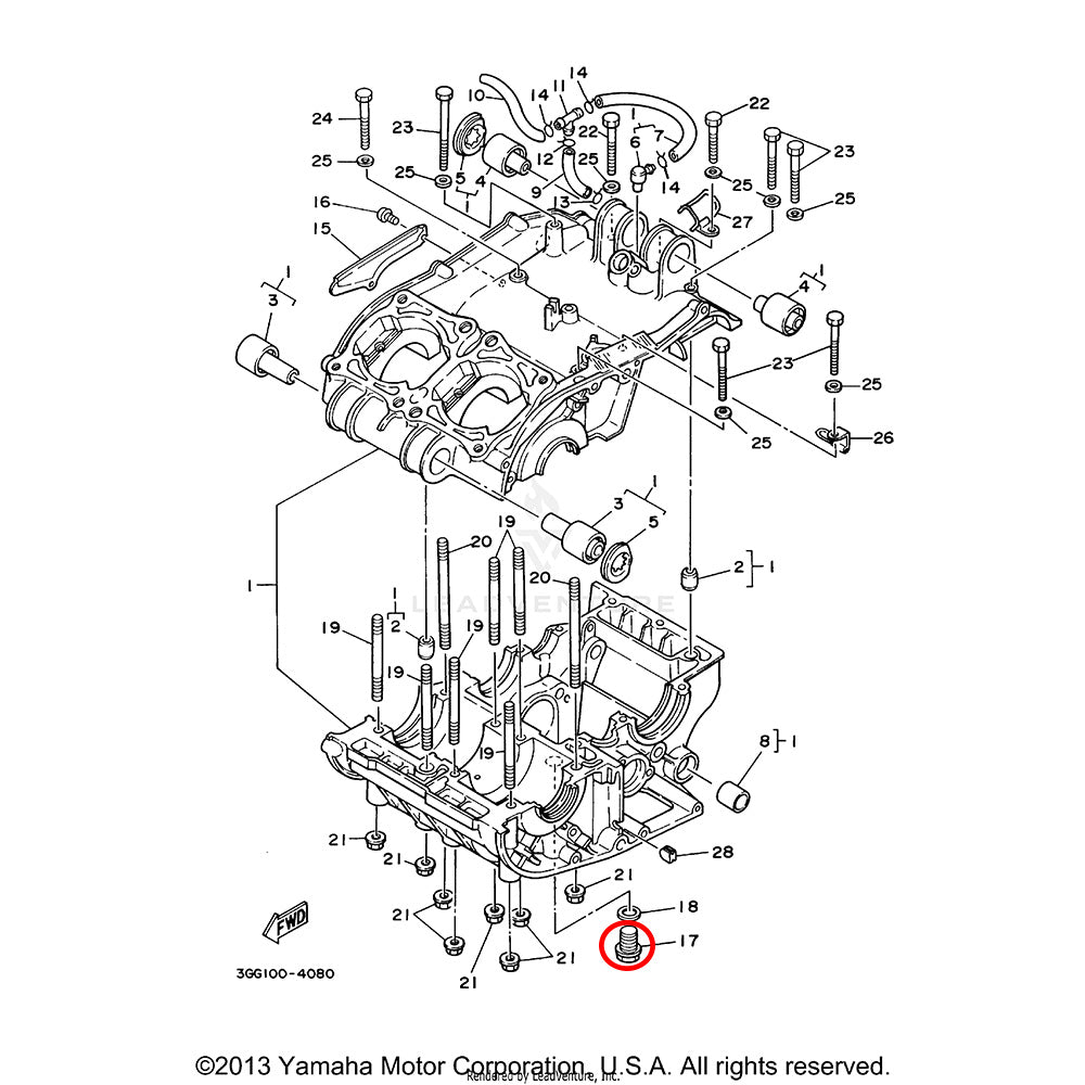 OEM Banshee Drain Plug
